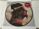 Sammy Hagar -SANTA'S GOING SOUTH- RSD Black Friday RECORD STORE PICTURE LP HALEN