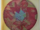 Talking Heads - Speaking In Tongues (Limited Edtion, Robert Rauschenberg)