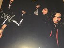 THE BLACK CROWES CHRIS ROBINSON SIGNED LP SHAKE YOUR MONEY MAKER 180 GRAM VINYL