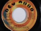70s Soul 45 FANTASTIC PUZZLES Come Back NEW MOON NM HEAR