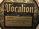 BUMBLE BEE SLIM VOCALION 02865 BLUES 78 RPM V