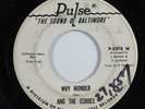Northern Soul 45 AND THE ECHOES Why Wonder PULSE HEAR