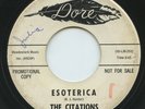 Rare Pop Instr. 45 - The Citations - Esoterica - Dore Records - Promo