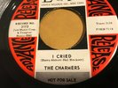 The Charmers I Cried / Shy Guy DJ Promo 45 VG+