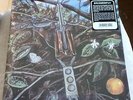 DRAGONFLY - S/T 70 COLORADO PSYCH LACED HVY ROCK ORIGINALS 180g GUERSSEN SLD LP