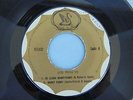 LOS PANKYS HANKY PANKY / WILD GARAGE SCREAMS MEXICAN 60's PUNK LIKE LOS SAICOS