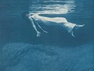 EVANS, Bill/JIM HALL - Undercurrent (reissue) - Vinyl (LP)