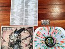 Stray from the Path ?Subliminal Criminals Toxic Splatter LP stick to your guns