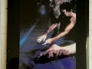 SIOUXSIE AND THE BANSHEES THE SCREAM 180G VINYL LP REISSUE NEW SEALED