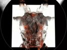 SLIPKNOT - ALL OUT LIFE / UNSAINTED - 7” PIC DISC  VINYL. RSD BLACK FRIDAY. NEW