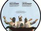 THE BEATLES UK PICTURE DISC HELLO GOODBYE, I AM THE WALRUS  NM