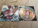 Thee Oh Sees - Warm Slime LP / Clear w/ splatter In the Red Castle Face OOP Rare