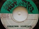 45 ROOTS / BOBBY / UNKNOWN SCORCHER / HOT SPICE / LISTEN
