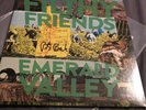 Filthy Friends Peter Buck signed LP Emerald Valley Green Vinyl Wuxtry Records