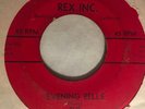 EL DOMINGOES - evening bells / i’m not kidding you - RAPPA RARE DOO WOP