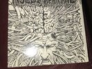 Agoraphobic Nosebleed / Insect Warfare 5” RED VINYL Grindcore Malignant Altar