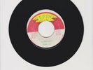 FREEDOM SOUNDS/ BLOOD A RUN  -  PRINCE ALLA  (76 REGGAE ROOTS 7