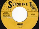 TX Mod Soul Jazz THE RAYS Gemini 45 Sunshine HEAR