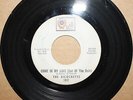 RICOCHETTS *Come In My Love (Out Rain)* LOSING YOU Garage Psych 45 on QUILL 102