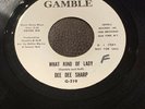 RARE Dee Dee Sharp - What Kind Of Lady - Gamble DEMO Stock 45 VG++ WOL