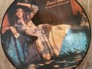 David bowie The Man Who Sold The World Picture Disc Vinyl Album