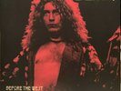 Led Zeppelin Before The West Was Won Live At Fillmore West Colored Vinyl