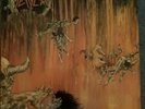 Slayer Hell Awaits Lp 1985 Metal Blade/Combat VG+VG+????