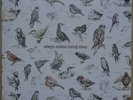 Edwyn Collins ?– Losing Sleep (2LP)