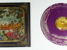Panic At The Disco Pretty Odd Purple Swirl Vinyl LP Blink 182 Paramore NoFX