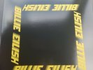 Billie Eilish Third Man Records Live 12