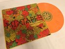 Mixtapes Maps And Companions Orange Vinyl Record LP Bayside Dikembe