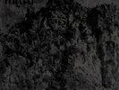 Mgla - With Hearts Toward None ++ LP ++ NEU