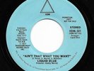 Crossover Modern Soul 45 LIQUID BLUE Ain't That What You Want HDM HEAR Rare