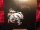 CIRCA SURVIVE Violent Waves RARE SELF RELEASED 2x 180g Vinyl LP Records Gatefold