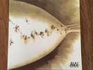 LAMBCHOP - AWCMON / NOYOUCMON - ORIGINAL RELEASE - 2 X VINYL LP