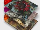 Protest The Hero 6xLP Ltd. Ed. Vinyl Bundle: Kezia, Fortress & Scurrilous x/500