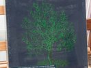 NICK DRAKE FRUIT TREE: 1979 ISLAND VINYL: rerelease 2007 3xLP BOX SET EXCELLENT