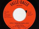 Deep Soul 45 - Johnny White & Mighty Crusaders - Surely - Valle-Dalle - VG+ mp3