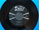 RONDA LEIGH   Jambalaya/We Could   rare OK rockabilly   SULLY $