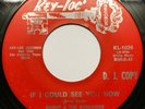 Rare Soul SUNNY & THE SUNLINERS - IF I COULD SEE YOU NOW / SHOULD I TAKE YOU 45
