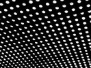 DOUBLE Beach House Bloom +DOWNLOAD NEW OVP Sub Pop Vinyl LP & MP3