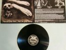 Pungent Stench - For God Your Soul LP 1990 Nuclear Blast Records.Top Zustand