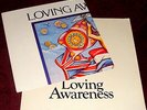 LOVING AWARENESS..VINYL LP EX+ 1976 WITH POSTER A1 B1 BLOCKHEADS IAN DURY