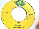 Wise Message - Rico All Stars - Instrumental Rocksteady Organ - Blue Cat