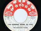 Northern Soul Garage 45 - Fabulous Plaids - I'm Coming Home To You - Dixie - mp3