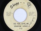 Northern Soul 45 - Senator Jones - Do You Love Me - Shagg - mp3 - rare