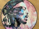 Jimi Hendrix Purple Haze Picture Disc 1970