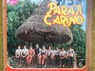 LOS TIGRES DE TARAPOTO - El llanto del tigre / SICK MOOG PSYCH TROPICAL AMAZONAS
