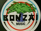 BONZAI RECORDS HOLYGRAIL PICTURE DISC Yves Deruyter ?– Calling Earth Cherrymoon