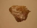3 x LP: Mauro Picotto - The Album - Zeitgeist - ALB 005, BXR - ALB 005
